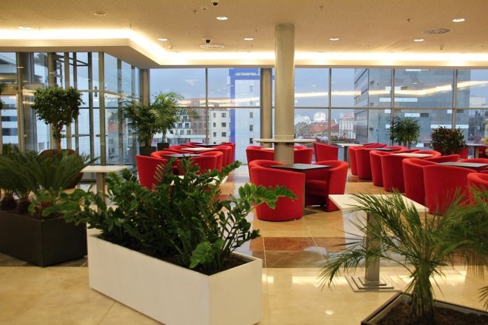 panorama_caffe2
